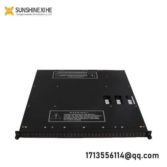 TRICONEX A06B-0116-B203