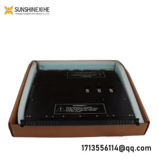 Triconex 4200N Remote Extender Module