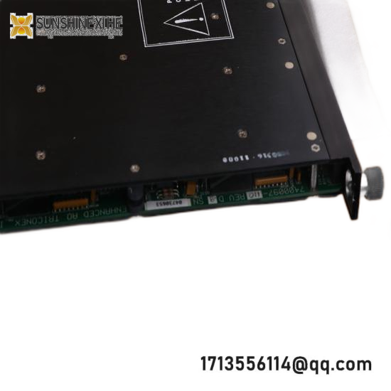 TRICONEX DO2401