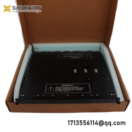 TRICONEX MP6004