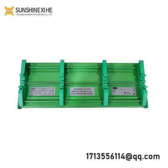 TRICONEX T8800C PD8800