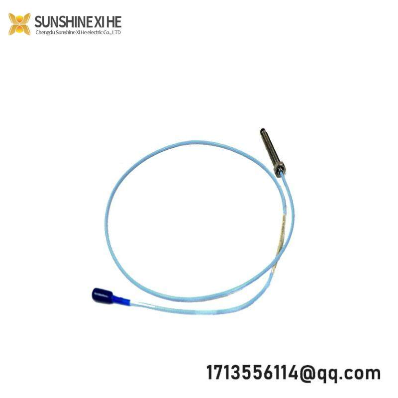 VARIAN 100010077-06