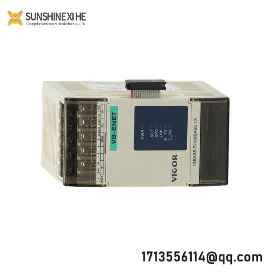Vigor VB-4PT  Temperature Module