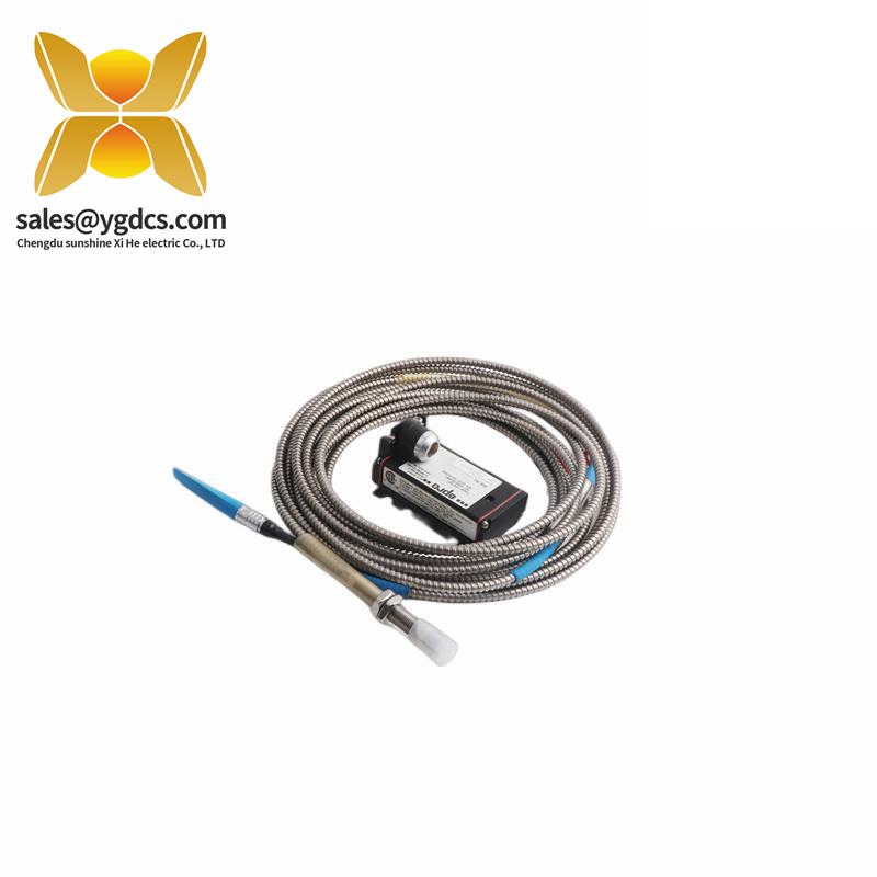 Emerson R2B0NAA1N3A0A