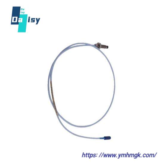 BENTLY 330103-00-04-10-02-00