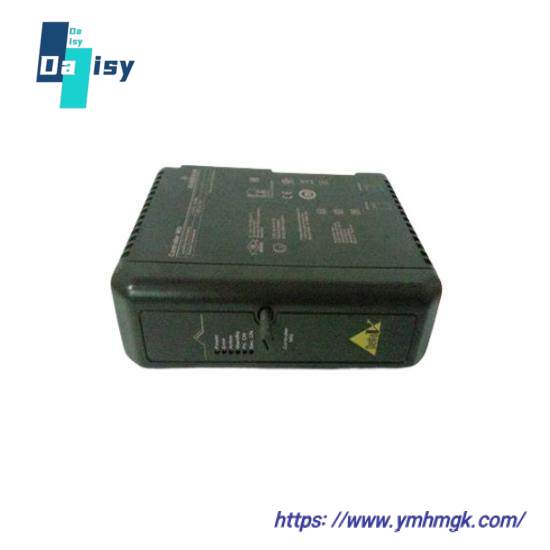 Emerson DeltaV CE4001S2T2B4 Standard Termination Block