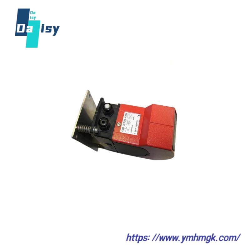 LEUZE DDLS 200/200.2-50-M12