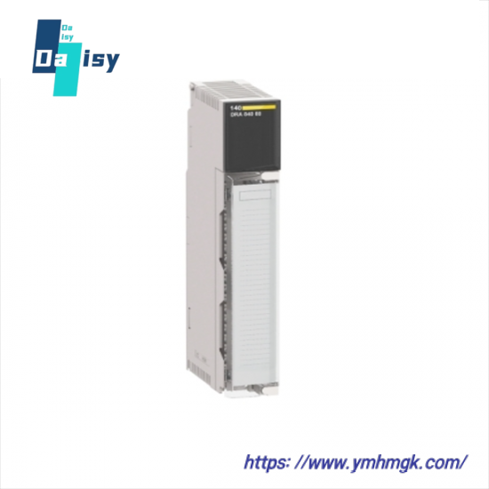 SCHNEIDER AS-BDAP-218