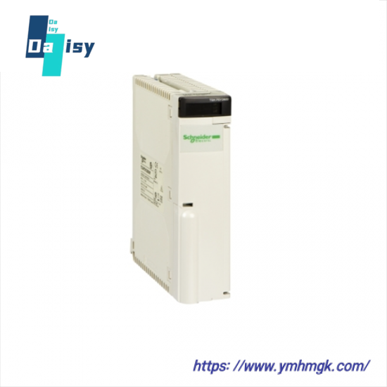 SCHNEIDER AS-BDAP-218