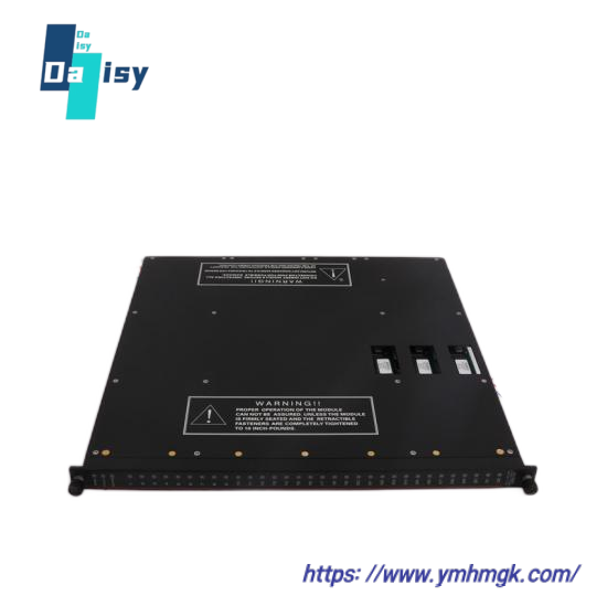 TRICONEX 3004 PROCESSOR MODULE