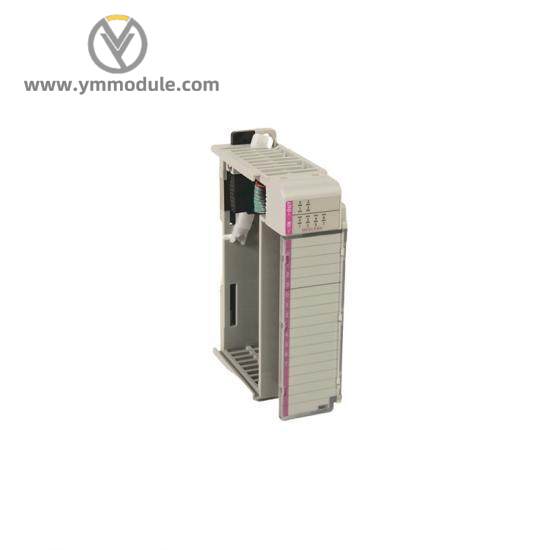 1769-BOOLEAN 24V dc combination input/output module