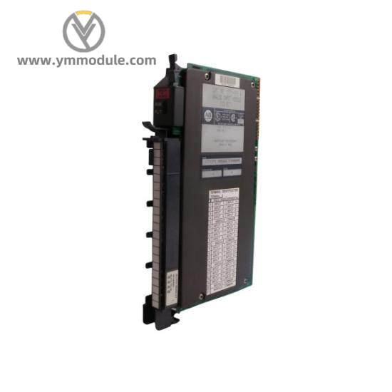 1771-IFE Analog Input Module