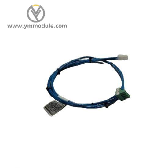 ABB 1TGE106170M4200