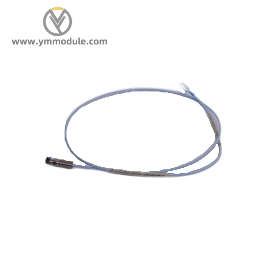 Bently Nevada 300103-A00-B09-C10-D02-E0