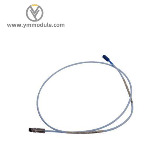 Bently Nevada 330106-05-30-15-02-00  TSI System