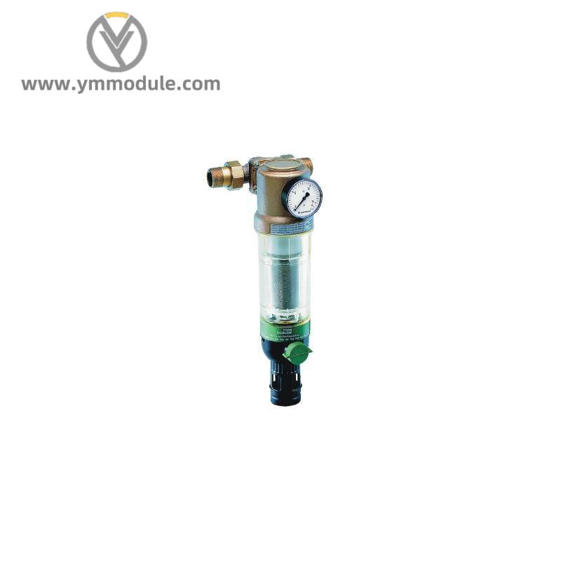 BRAUKMANN F76CS-1AA reverse rinsing filters