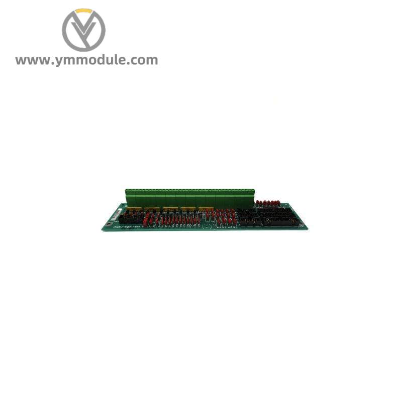 GE DS200TBQBG1A Analog Termination Board