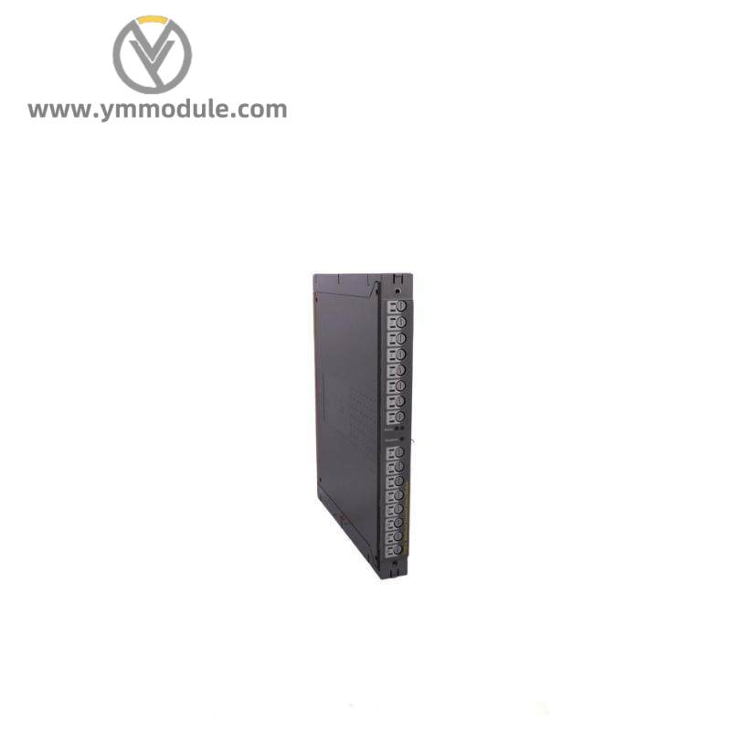 ICS TRIPLEX T811B Module