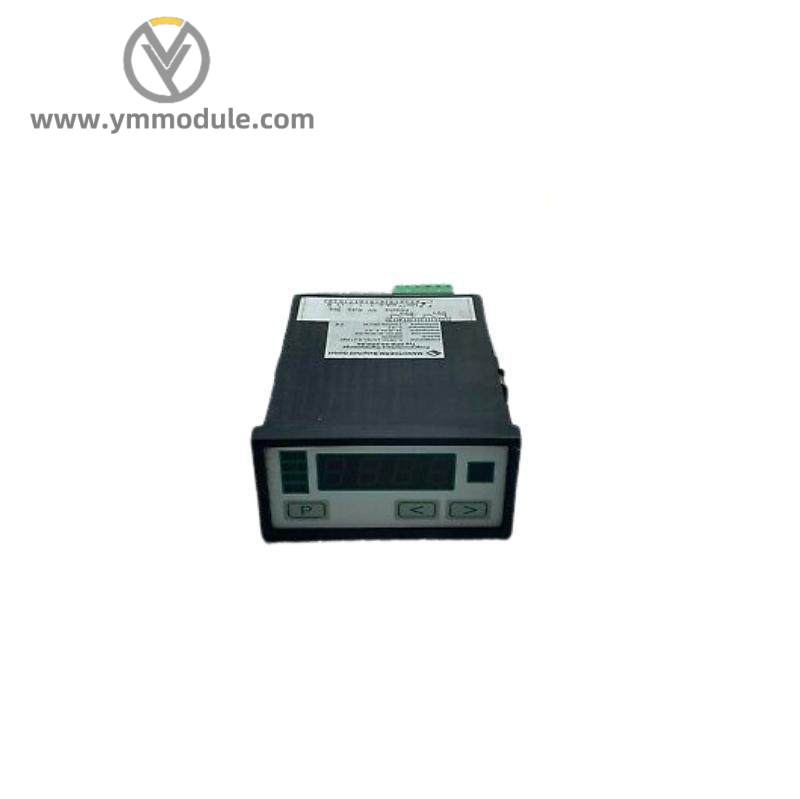 NEGELE PROZESSORANZEIGE DPM-GS-2GW-S Digital Display