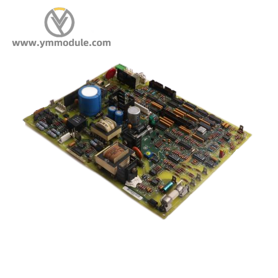 NEW VIPA 221-1FF50  Digital Input Module
