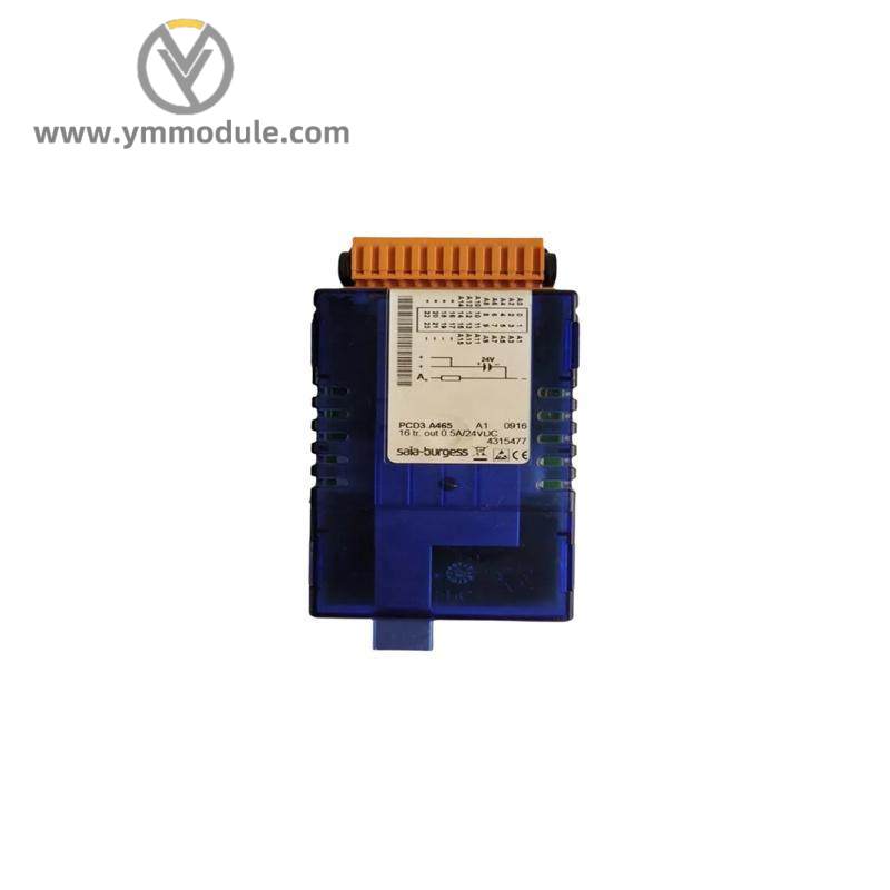 SAIA PCD2.W600