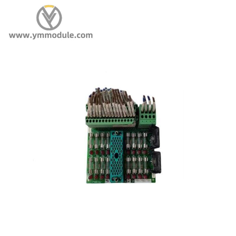 TRICONEX 9662-810 Module