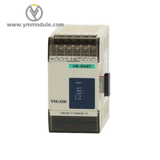 Vigor VB-4PT  Temperature Module