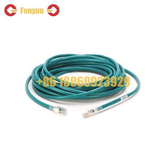 1585J-M8CBJM-1 Connection Cable