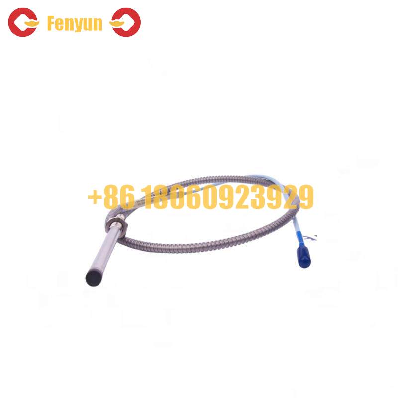 BENTLY 330104-00-10-10-02-00