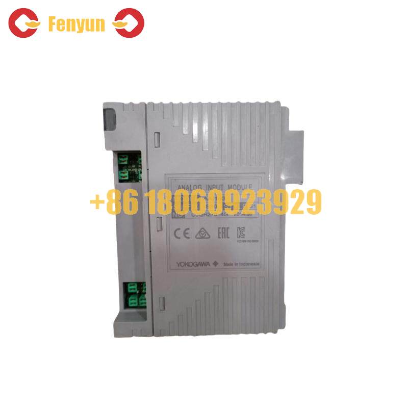 YOKOGAWA AAI143-S53 S1 Analog Input Module