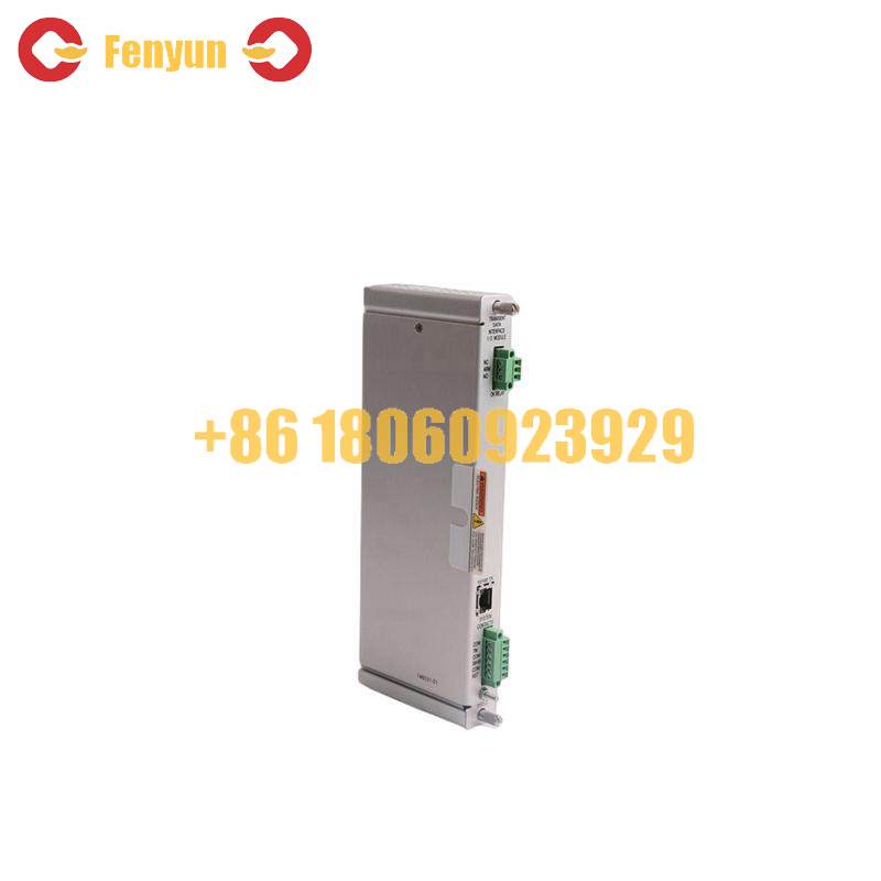 Bently Nevada 125736-01 I/O MODULE