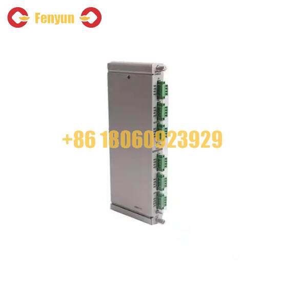 BENTLY NEVADA 133819-02 RTD/TC Temperature I/O Module