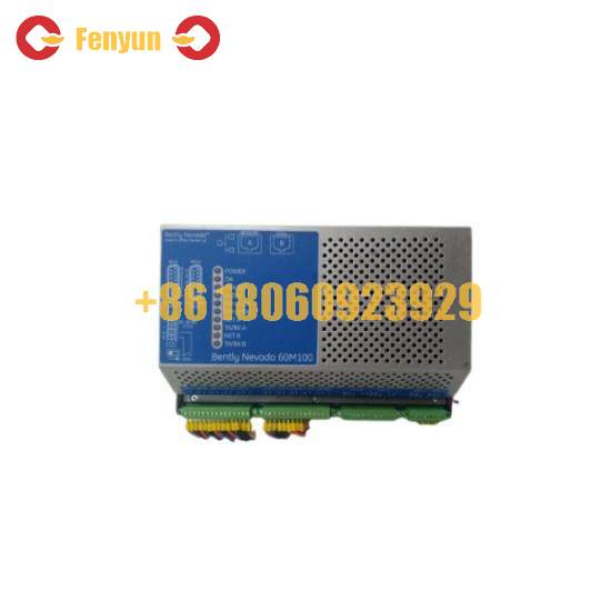 BENTLY NEVADA 60M100-00 Module