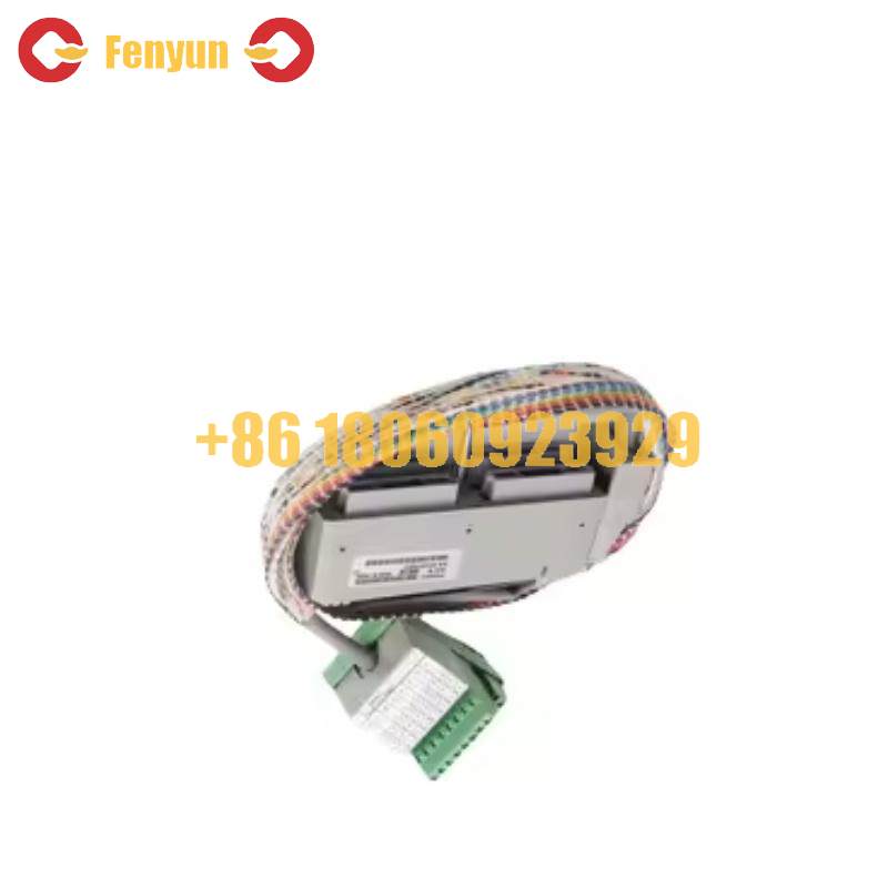 Foxboro FBM3A/33A P0500RU Termination Cable