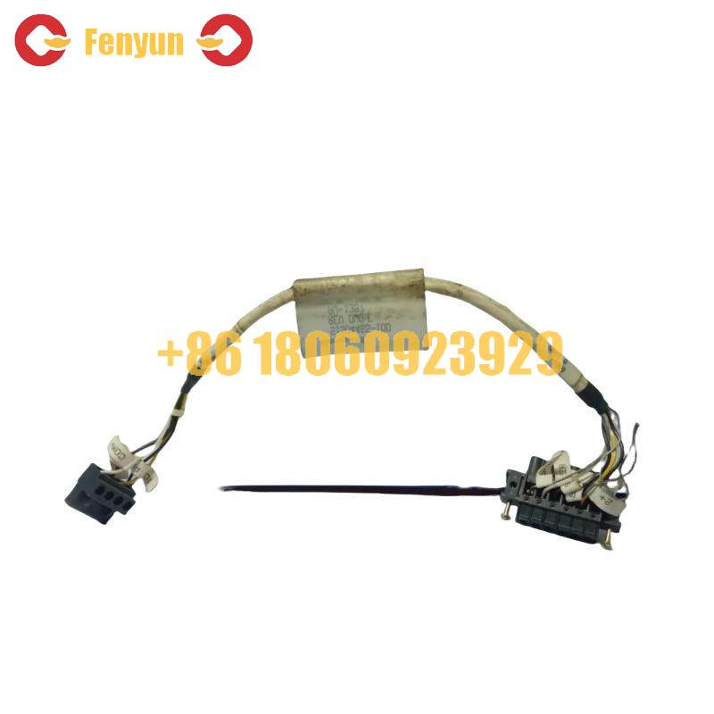 HONEYWELL 51304465-100 Cable