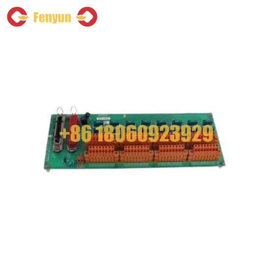 Honeywell FC-TSRO-0824 V1.1  Digital Output Module