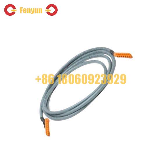 Honeywell FS-PDC-IOR05A CABLE