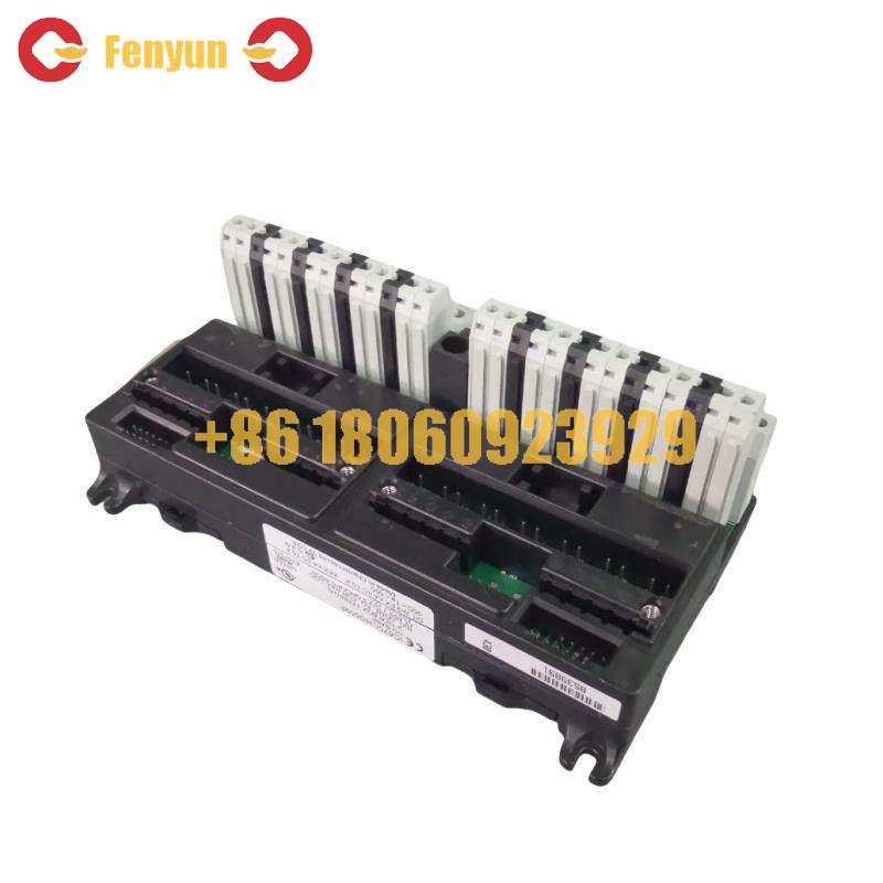 GE IC670CHS002 I/O terminal block