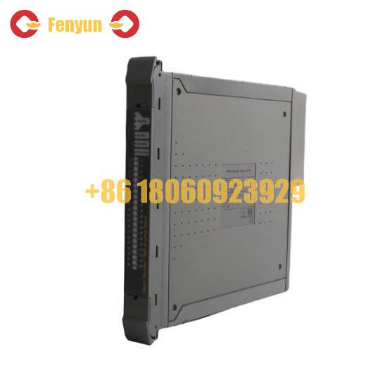 ICS TRIPLEX TC-303-01-2M0