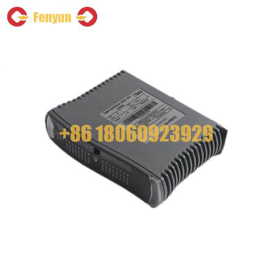 ICS TRIPLEX TC-305-01-5M0
