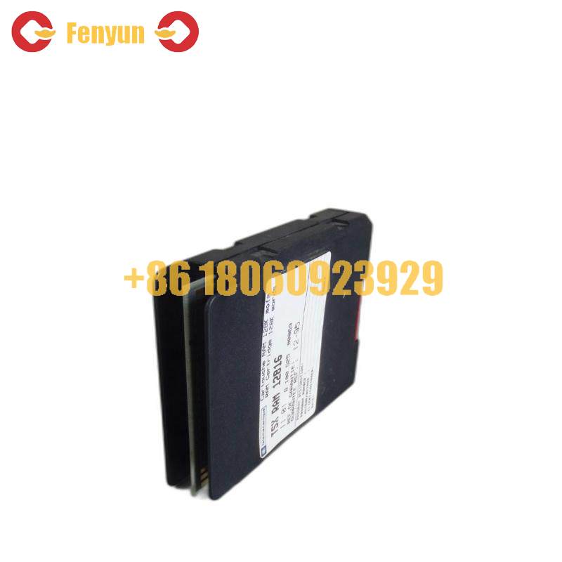 Schneider TSXRAM12816 MEMORY MODULE