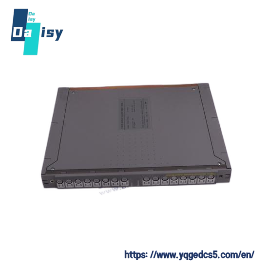 TRICONEX T8111