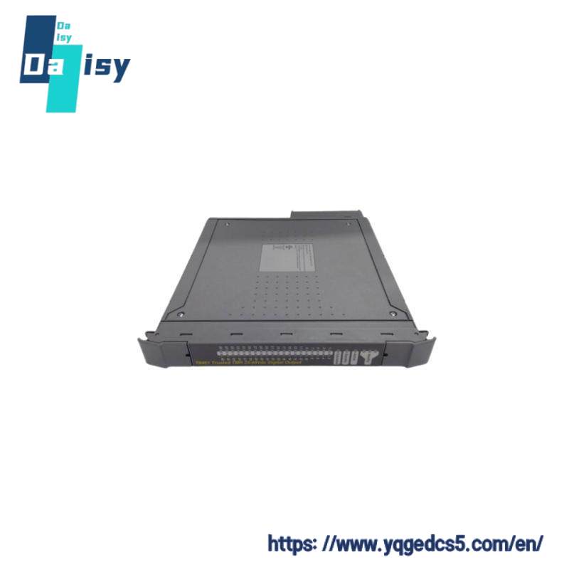 ICS TRIPLEX TC-303-01-2M0