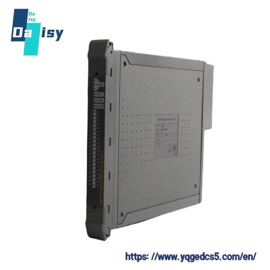 ICS TRIPLEX TC-303-01-2M0