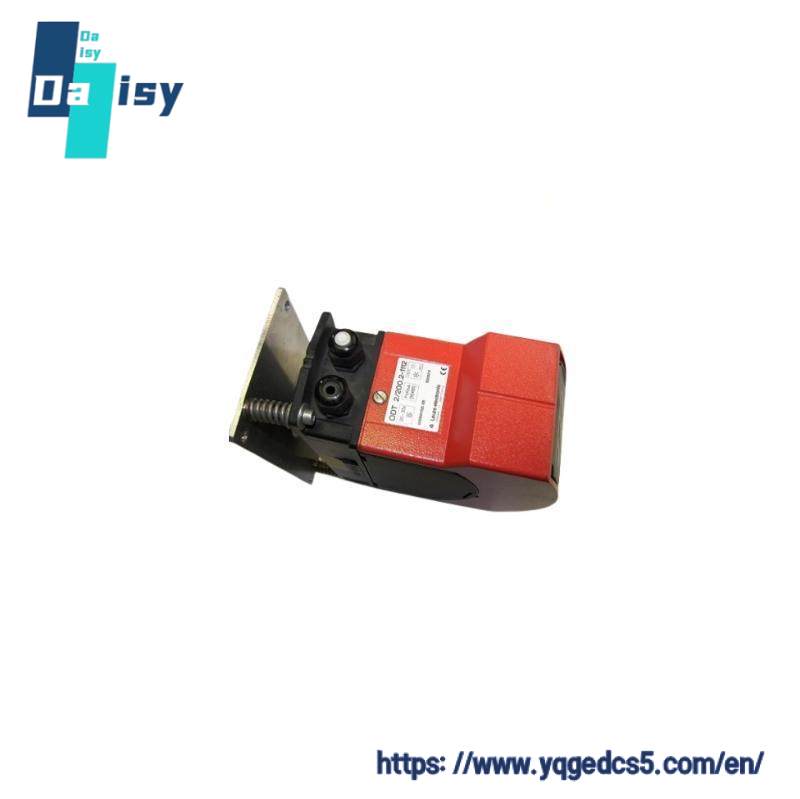 LEUZE DDLS 50125768