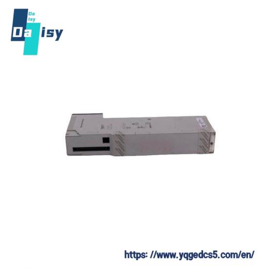SCHLEICHER UST21