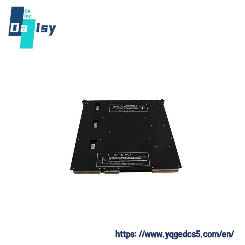 TRICONEX 9563-810