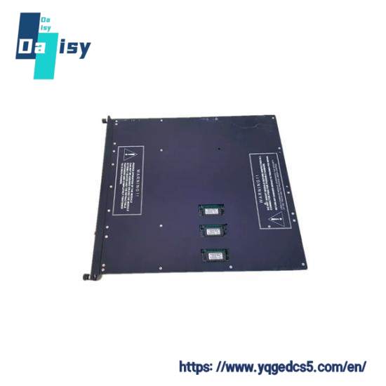 TRICONEX 9563-810