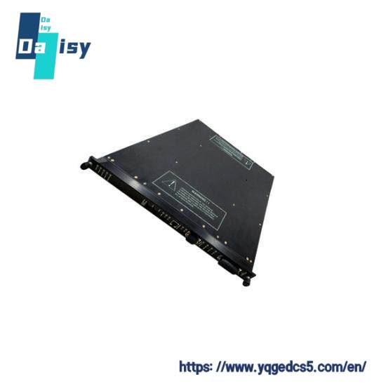 TRICONEX 9563-810